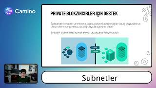 Camino Network | Subnetler Nedir? İşlevleri Nelerdir?