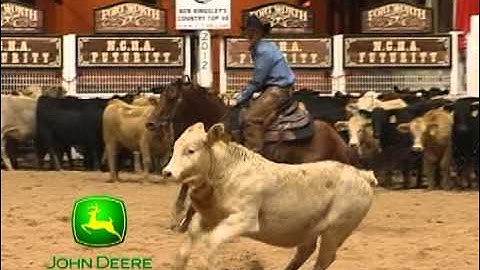 2012 NCHA Futurity John Deere Division