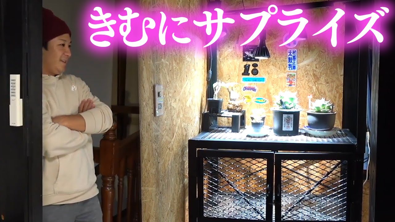 【サプライズ】きむに内緒でオリジナルのスチールラックを製作&プレゼントする！！｜釣りよかでしょう｜