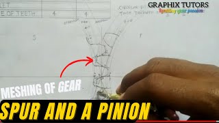 meshing gear (Involute spur gear and pinion gear) ( technical drawing)