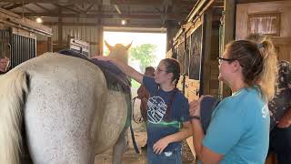 Bareback Riding Pad Placement - Sam Practicing