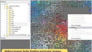 Celebrity ImageSorter sorts images automatically Net Worth