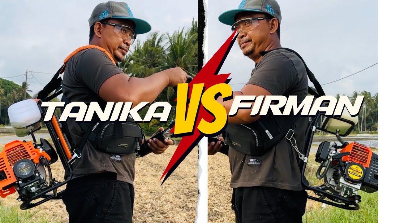 Adu Power Raja Mesin Rumput‼️Firman 528 vs Tanika 438