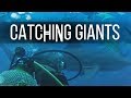 Catching Giants - Teaser