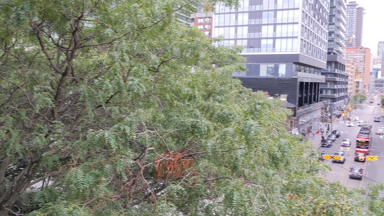 219 Dundas Street East Toronto ON, M5A0V1 2-Bedroom Condo Apartment Tour