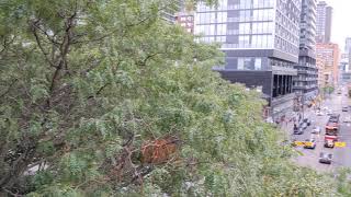 219 Dundas Street East Toronto ON, M5A0V1 2-Bedroom Condo Apartment Tour