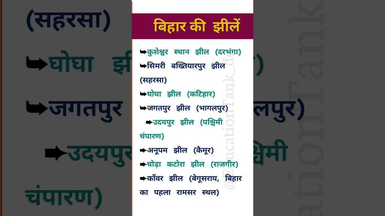 सामान्य ज्ञान | General Knowledge | World Trivia | Quiz 🧠 