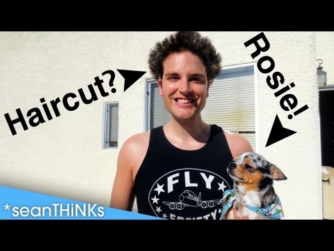 the FRO has got to GO! - Dancember & Haircut - Vlogmas 8, 2012
