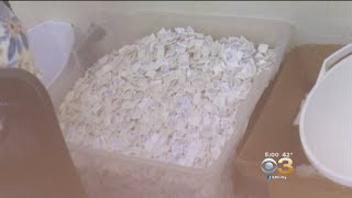 Bucks County DA Reveals Major Drug Trafficking Bust