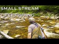 Fly Fishing Small Streams