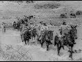 With The Light Horse Brigade In Palestine