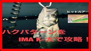 シーバス ルアー ImaのK－太を使ってナイトゲームの橋脚部の明暗を攻略！ シーバス釣り 河川編 春 夏 秋 2020
