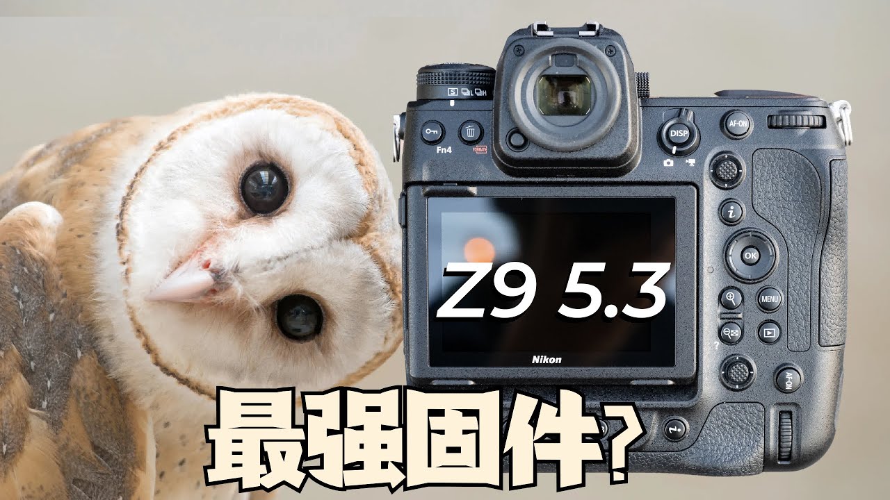 Z9 5.3固件对焦大提升 尼康终于站起来了？实战测评最新Z9 5.3版本固件
