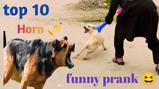 Top 10 Prank Dog! Super Huge Horn vs PrankSleep Dogs | Super Funny Must Watch  #TrendingVideos