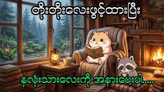 🔴 LIVE 🌙 ဒီညတော့ ကိုယ့်နှလုံးသားကို ခဏတာ အနားပေးလိုက်ပါ... | ☔ Rain Sounds & Cozy Sleep Music