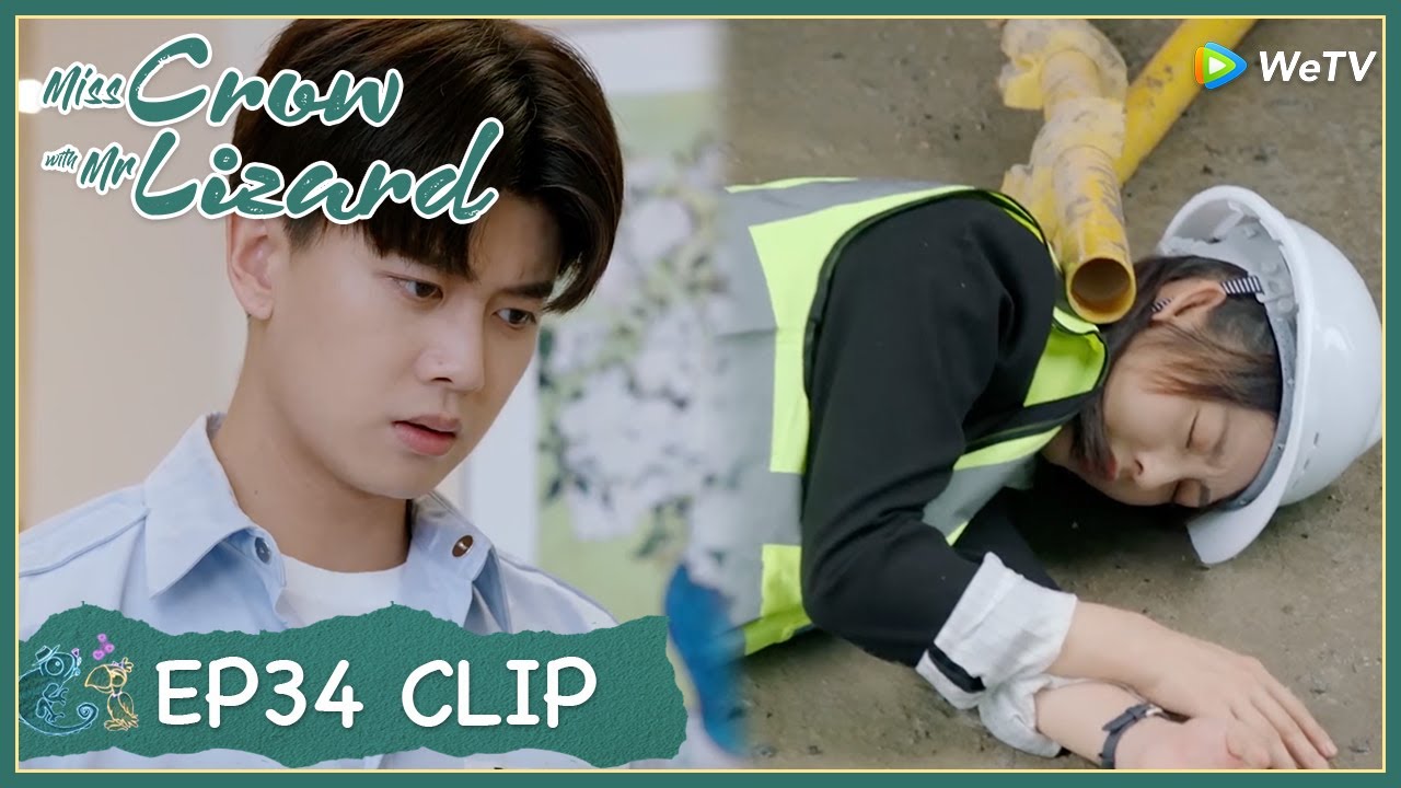 【Miss Crow with Mr. Lizard】EP34 Clip | Will he feel pain with her injury? | 乌鸦小姐与蜥蜴先生 | ENG SUB