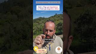 Astrologia semanal | 20 a 26 de Abril✨ #compaixão #curalma #amor #gratidão #amor