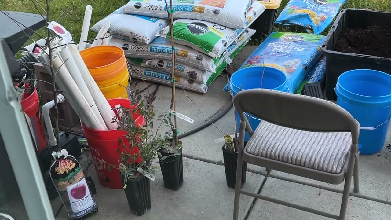 S05E06 Fruit Tree Sale @Costco!