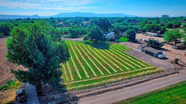 708 25 1/2 Rd, Grand Junction, CO 81505