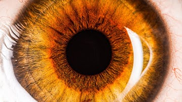 EVERYDAY OBJECTS IN MACRO!