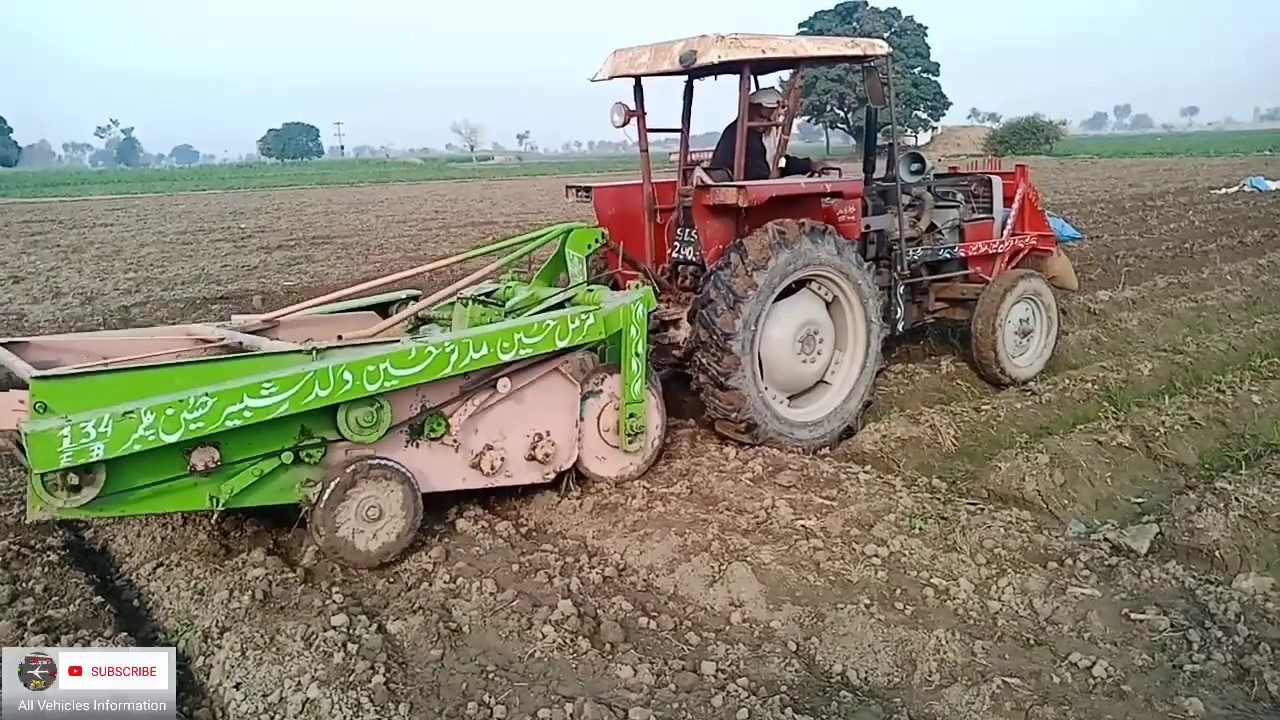 Potato Harvest with Mf 240 