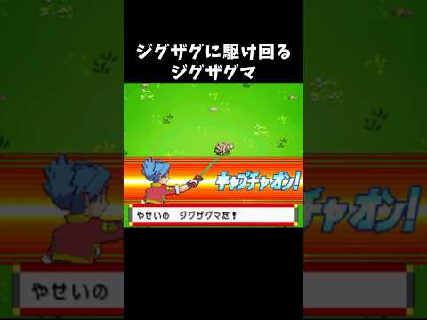 ジグザグに駆け回るジグザグマ【ポケモンレンジャー】