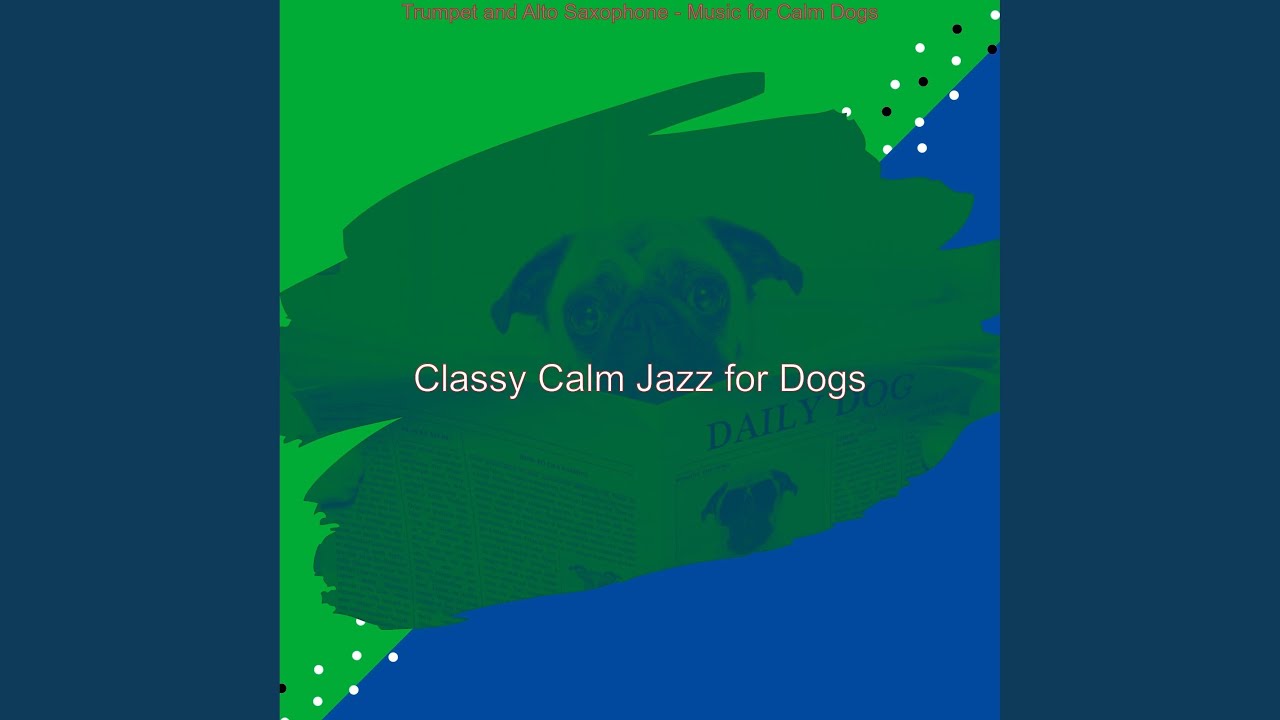 Quiet Music for Calming Your Dog YouTube