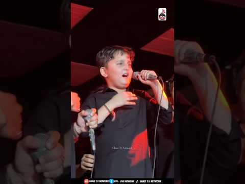 Noha Khuwan Syed Taseer Raza Zaidi ❤️🥹 #viralshort #nohastatus #feedshorts #muharram #2026 #viral