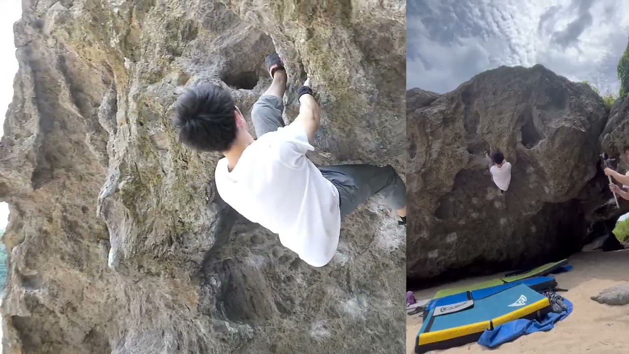 ユーリンチー（初段）