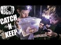 Catch N Keep - GIANT Centipedes/Scorpions/Spiders #3