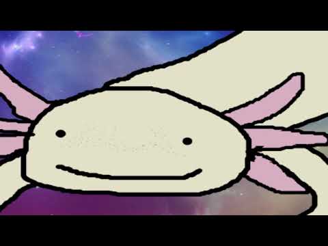 its-real-axolotl-hours.-(reupload)