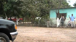 campos de los limones desfile 2012