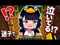 迷子の『ググガガペンギン』のお母さんを探した結果⁉️【マイクラ まいくら】ぽっぴんず