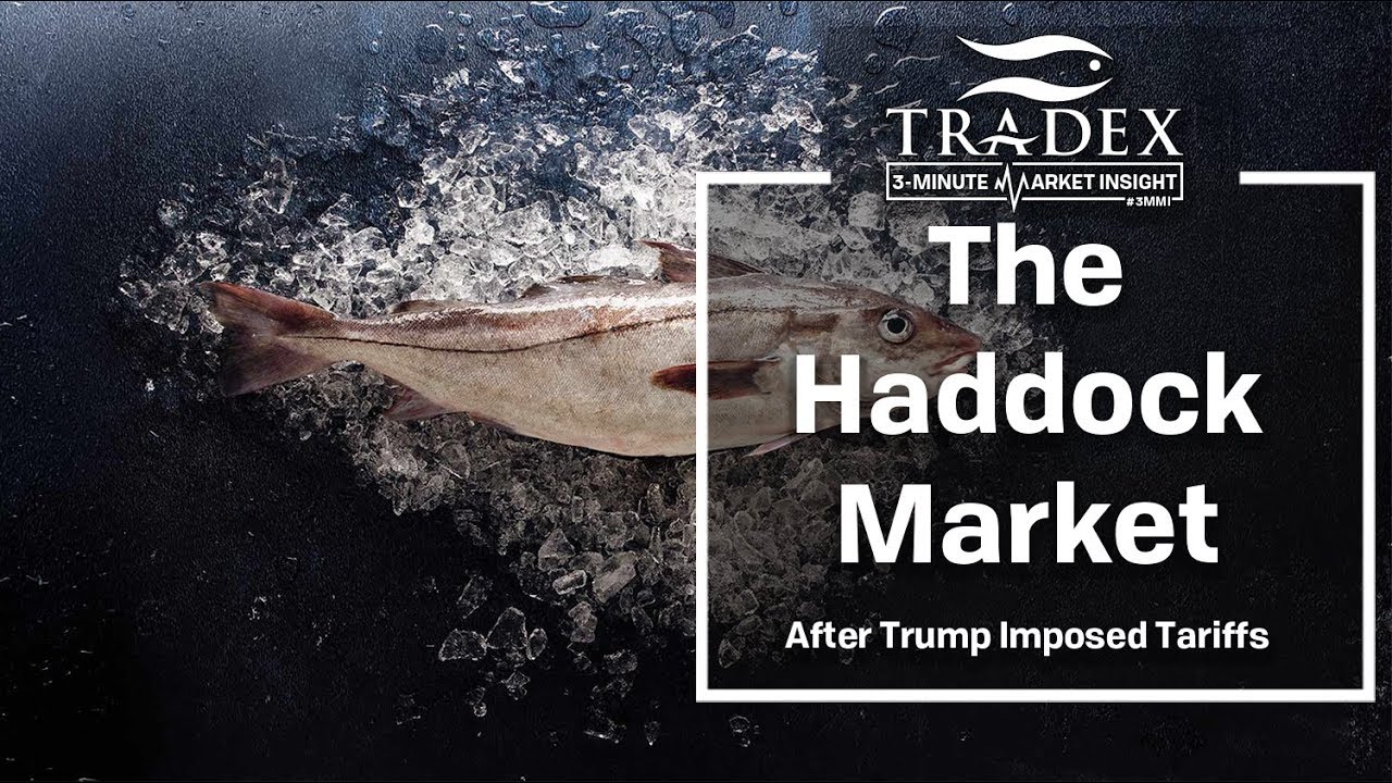 3MMI The Haddock Market After Trump Imposed Tariffs YouTube