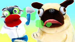 Fizzy The Pet Vet Helps Pug Puppy | Funny Stories For Kids