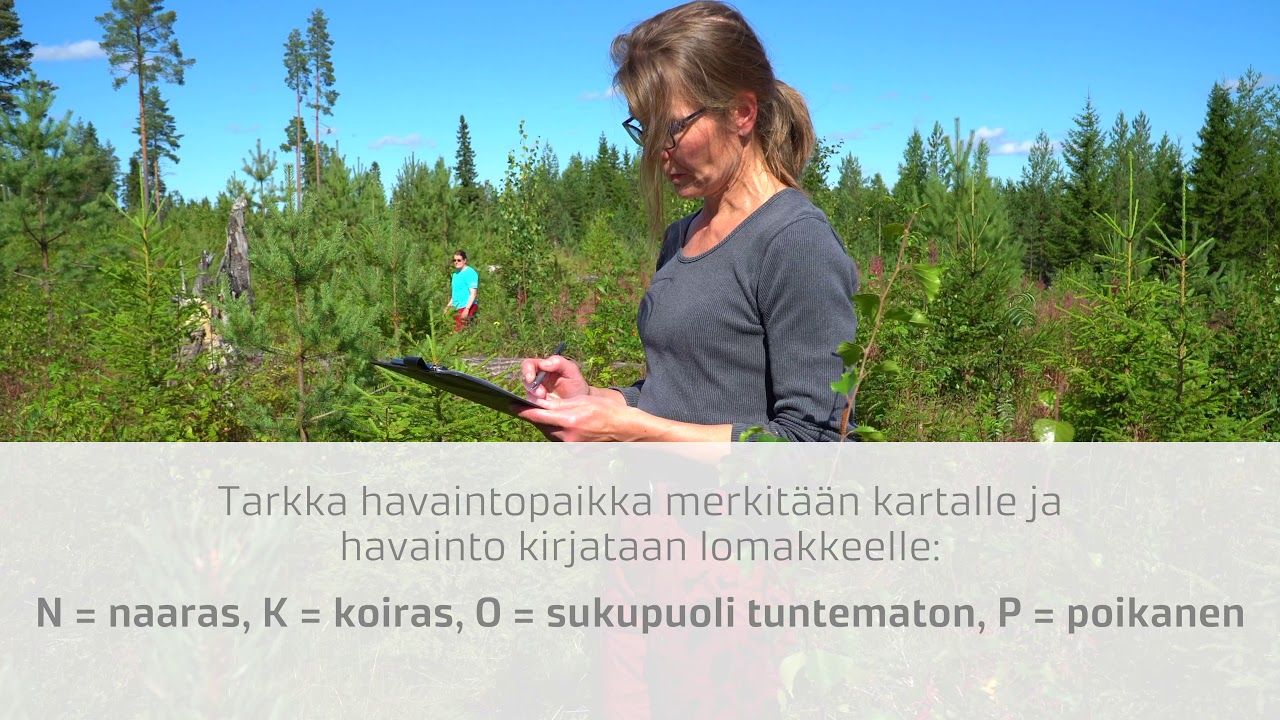 Englanti suku puoli vedoesaasi alainen porno kuningattaret