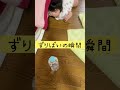 初めてずりばいした瞬間！#shorts #ずりばい