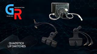Quadstick: 2 and 3 Button Lip Switch