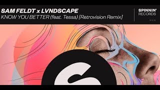 Download Lagu Sam Feldt x LVNDSCAPE — Know You Better (Retrovision Remix) MP3