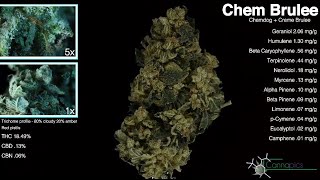 Cannapics Season 2 Episode 7 (S02E07) Chem Brulee