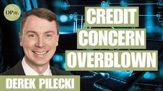 Top Performing Hedge Fund Manager Says Credit Concern is Overblown | Derek Pilecki screenshot 4