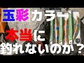 【ヒラスズキ】玉彩カラーを検証します