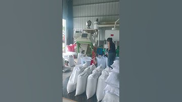 automatic complete rice milling machine + rice polisher+rice grader+color sorter machine