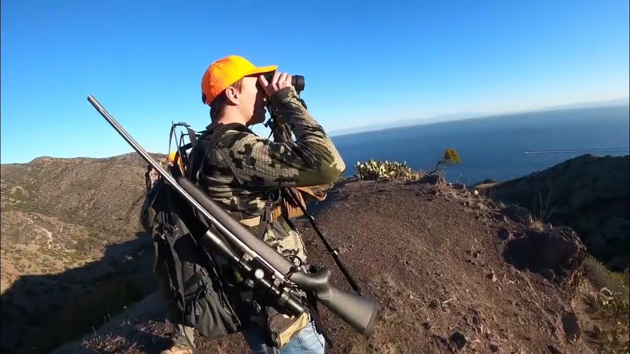 Catalina Island Deer Hunt + Bonito Sashimi YouTube