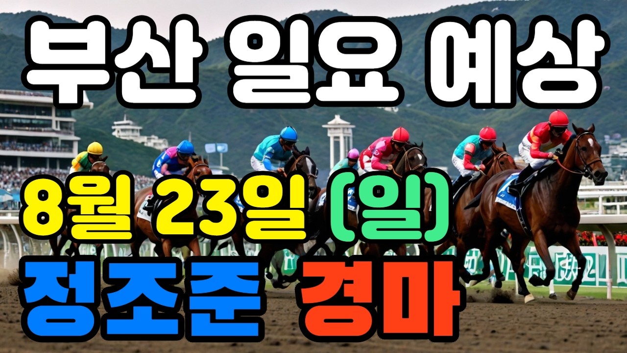 🔴  8월 23일 부산 일요 예상 !!!  🔴 제주·서울·부산 경마 고배당 가능성 분석｜정조준 AI 경마 명승부 예측🔴