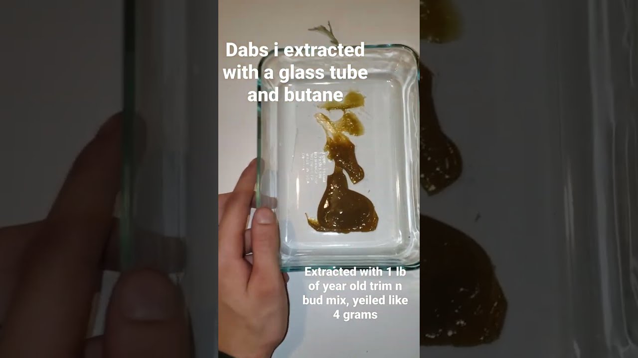 Butane extract yeild from 1lb of trim