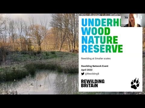 Rewilding Network Webinar - Smaller Scale Rewilding at Underhill Wood NR