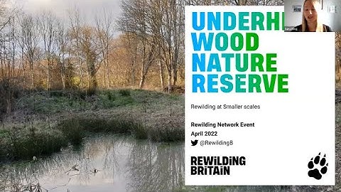 Rewilding Network Webinar - Smaller Scale Rewilding at Underhill Wood NR