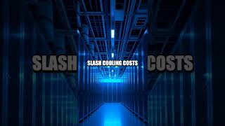 Antiferromagnetic Spin-Orbitronics: A New Memory Revolution