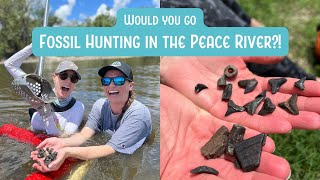 FOSSIL HUNTING in the PEACE RIVER! WE FOUND SHARK TEETH! | Arcadia | Florida | Alligators